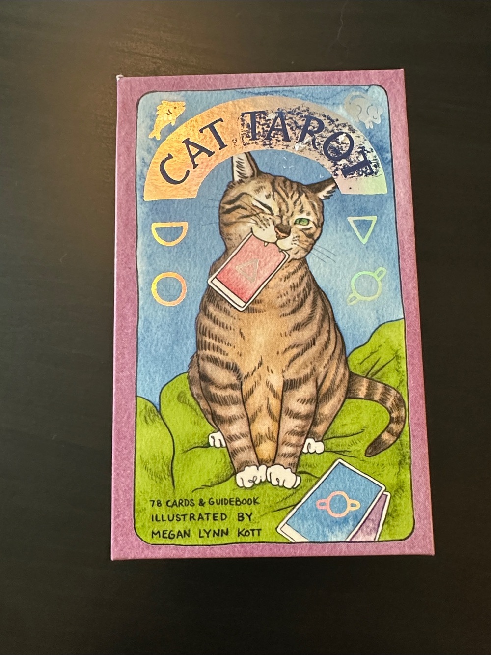 Cat Tarot Deck by Megan Lynn Kott